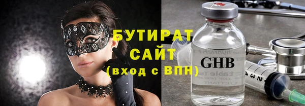 шишки Надым