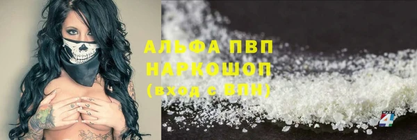шишки Надым