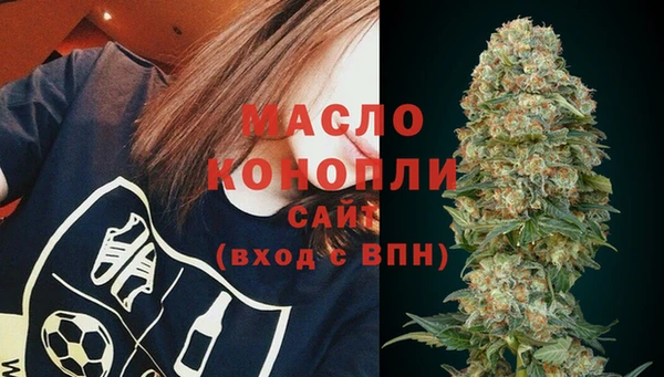 шишки Надым