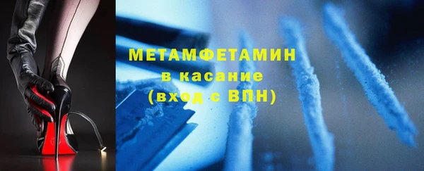 шишки Надым