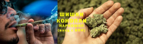 шишки Надым