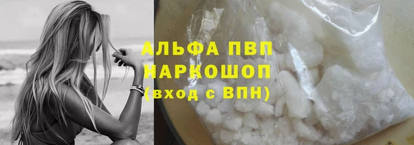 шишки Надым
