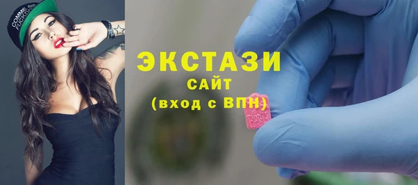 шишки Надым