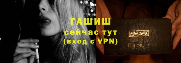 шишки Надым