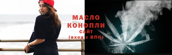 шишки Надым