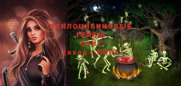 шишки Надым