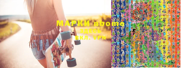шишки Надым