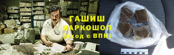 шишки Надым