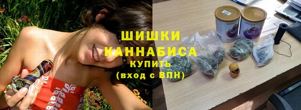 шишки Надым