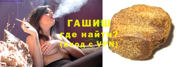 шишки Надым