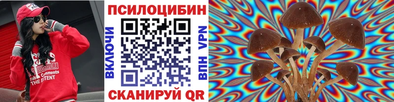 Псилоцибиновые грибы GOLDEN TEACHER  Геленджик 